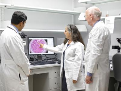 UK researchers viewing image on computer