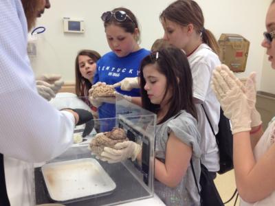 Clay County students at the University of Kentucky