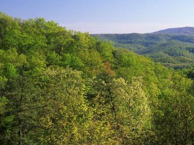 Appalachian Mountains 