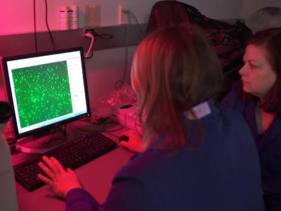 UK virologist Rebecca Dutch (right) with graduate trainee. Dutch is leading UK College of Medicine's CURE Alliance team, which is focused on advising COVID-19 patient care and clinical trials.