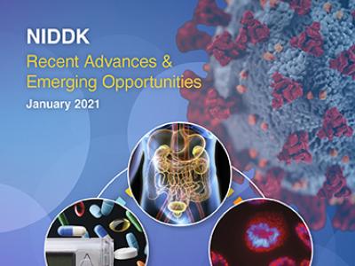 Cover of NIDDKH Recent Advances 2021 