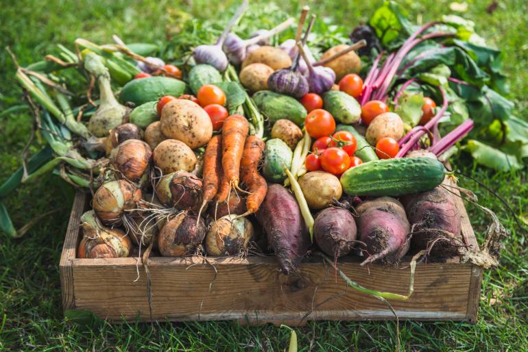 Basket of produce