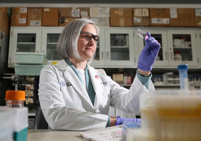 Jill Roberts, PhD, sits at a workbench in her lab. She has gray hair cut below her chin and she's wearing a white medical coat and safety glasses. She's holding up a scientific slide with three red ovals on it. Behind her are white metal cabinets. 