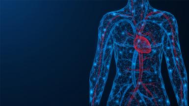 arteries