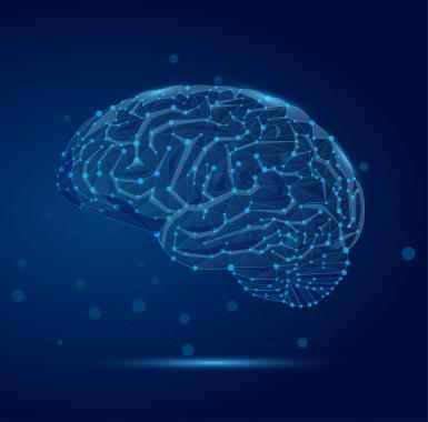 Brain Image