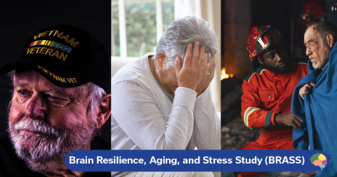 Brain Resilience, Aging, and Stress Study (BRASS)