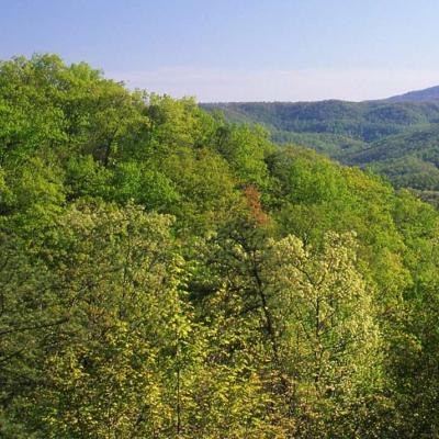 Appalachian Mountains