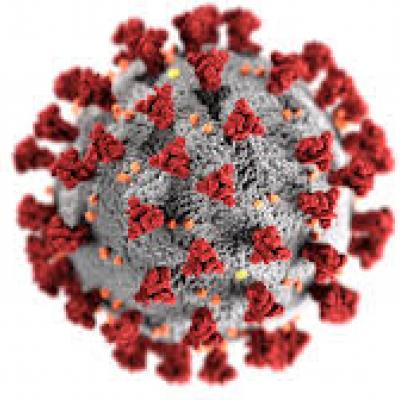Illustration of a COVID-19 particle